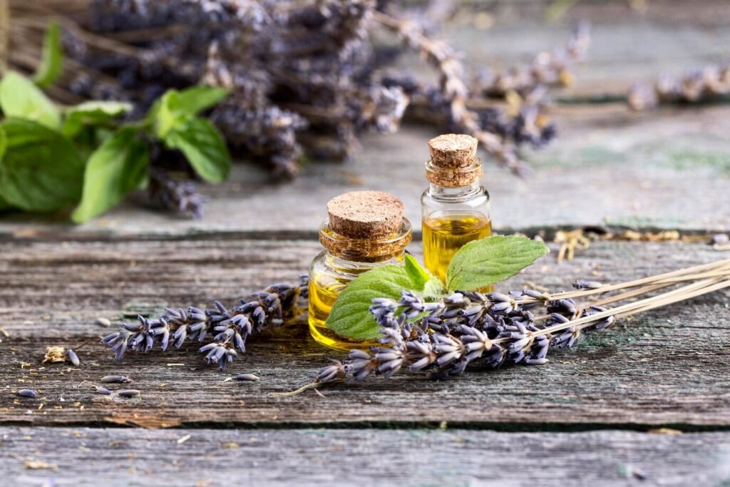 niouli essential oil uses and benefits